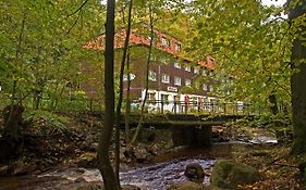 Waldhotel Am Ilsestein